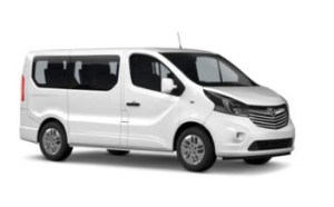 Vivaro b
